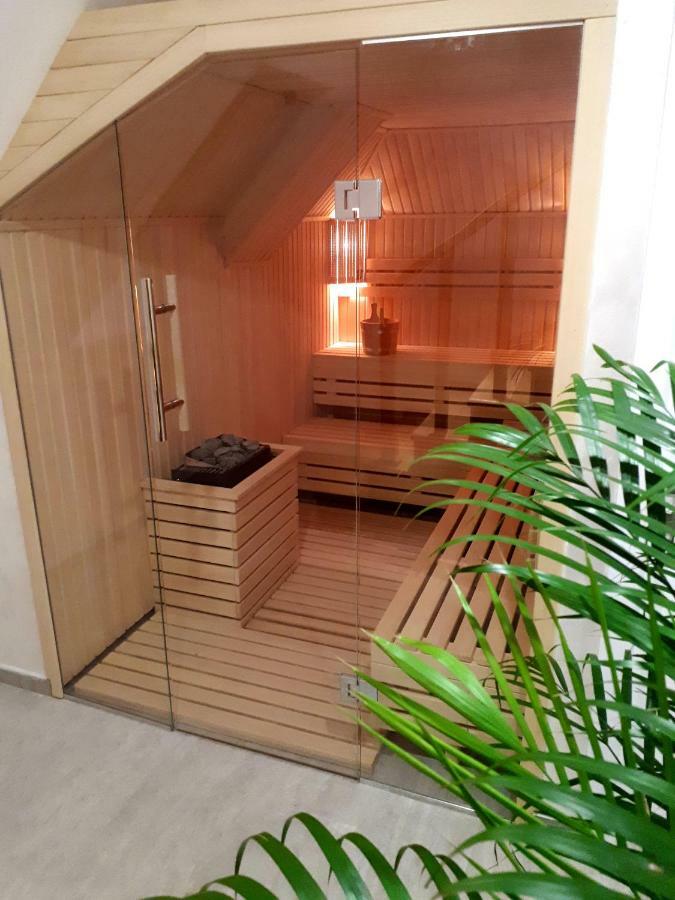Elena Apartment&Spa Златибор Екстер'єр фото